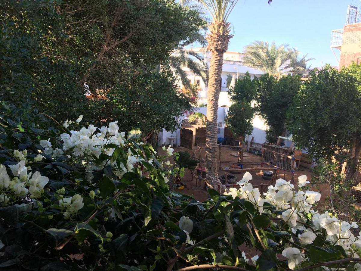 Sunrise Dahab Lodge Extérieur photo