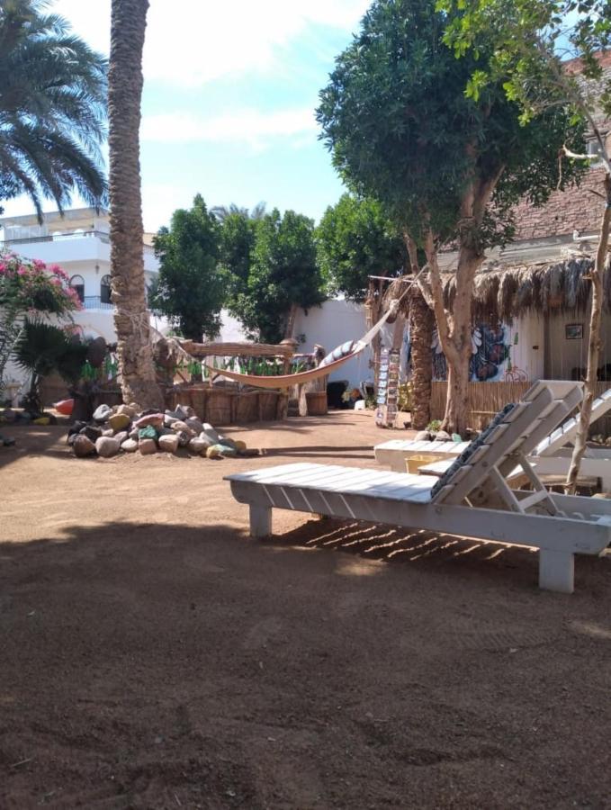 Sunrise Dahab Lodge Extérieur photo