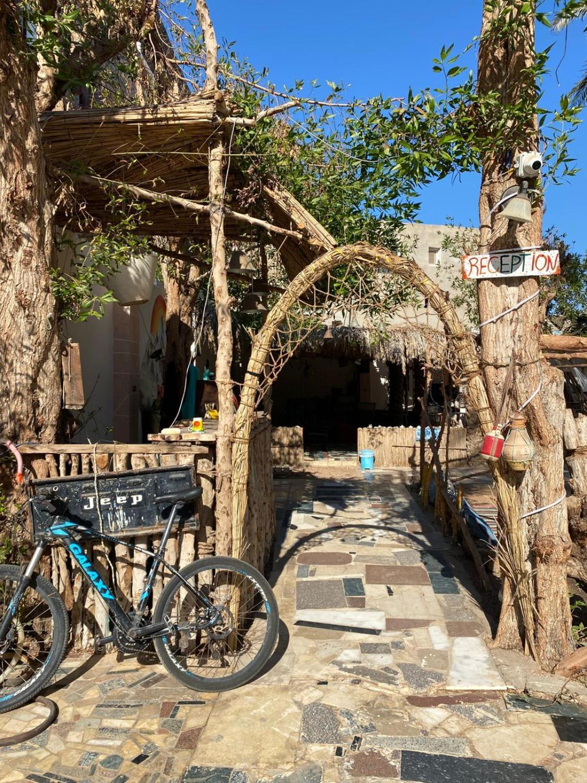 Sunrise Dahab Lodge Extérieur photo