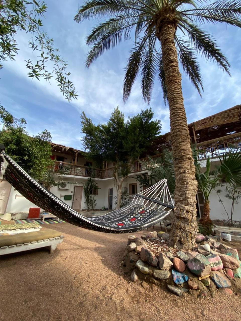 Sunrise Dahab Lodge Chambre photo